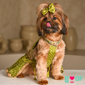 MEHENDI GREEN BANDHANI PRINT HALTER NECK LEHENGA FOR DOGS AND CATS