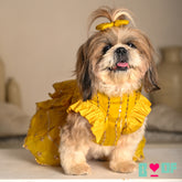 YELLOW FESTIVE ZARI BUTI LEHENGA FOR DOGS AND CATS