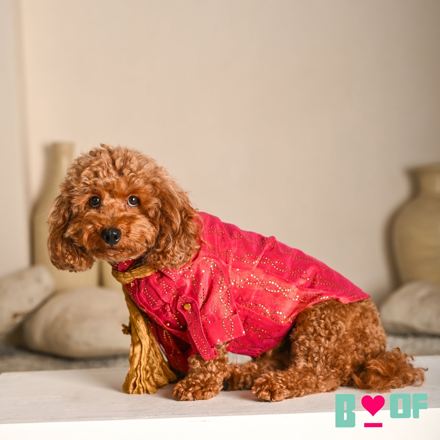 RUBY PINK MUKAISH WORK DOG KURTA