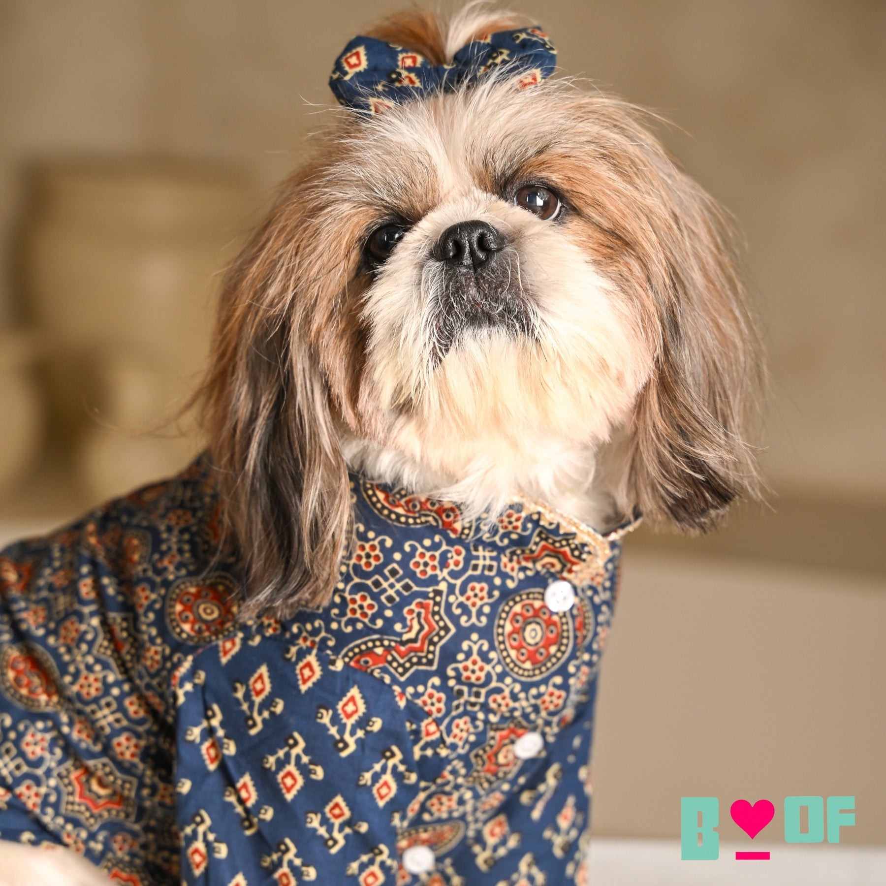 NAVY BLUE AJRAKH BUTI PRINT WAISTCOAT STYLE KURTA FOR DOGS AND CATS