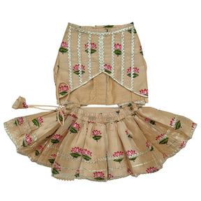 RAJKAMAL BEIGE LEHENGA FOR DOGS AND CATS