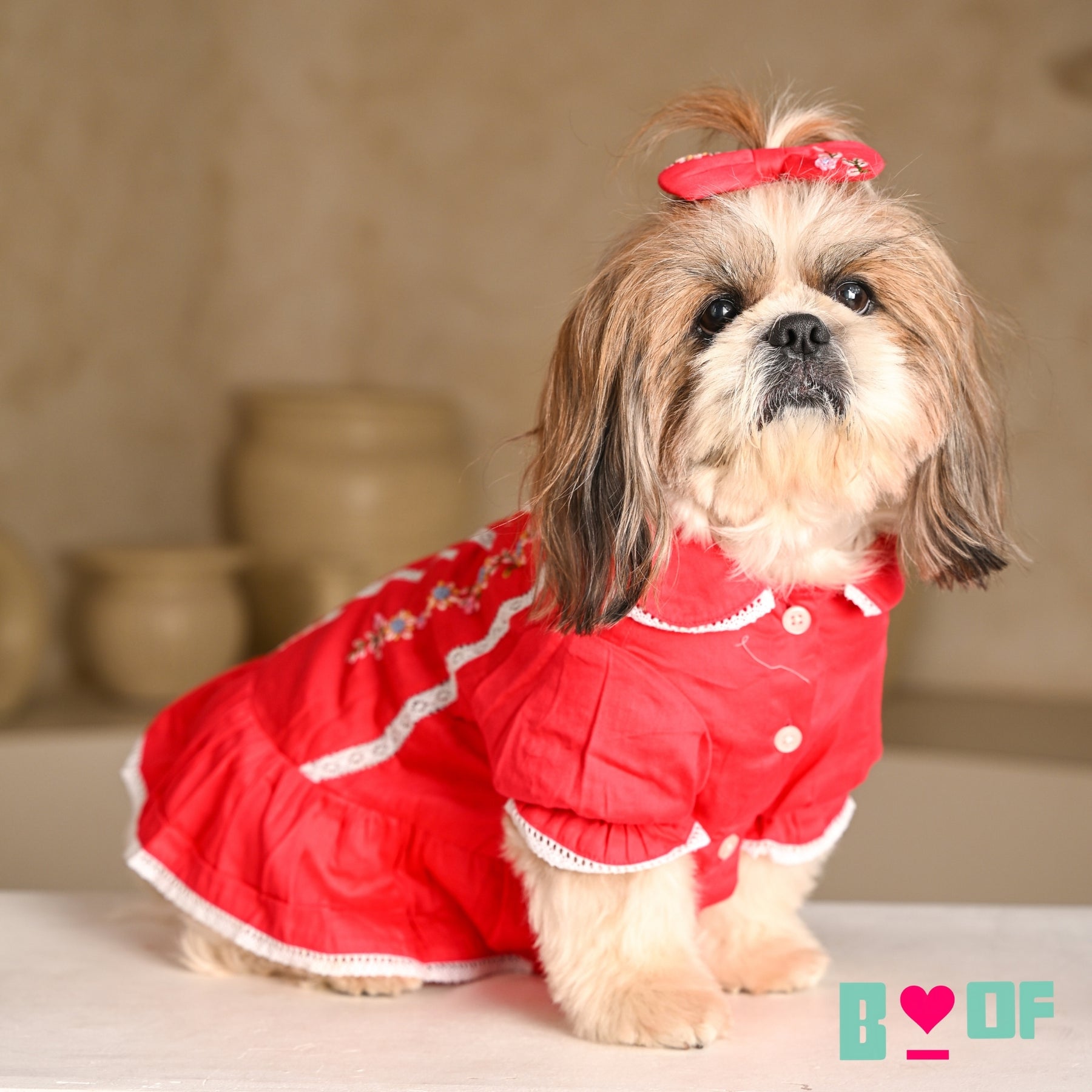 BLUSH RED FLORAL EMBROIDERED DRESS FOR DOGS AND CATS