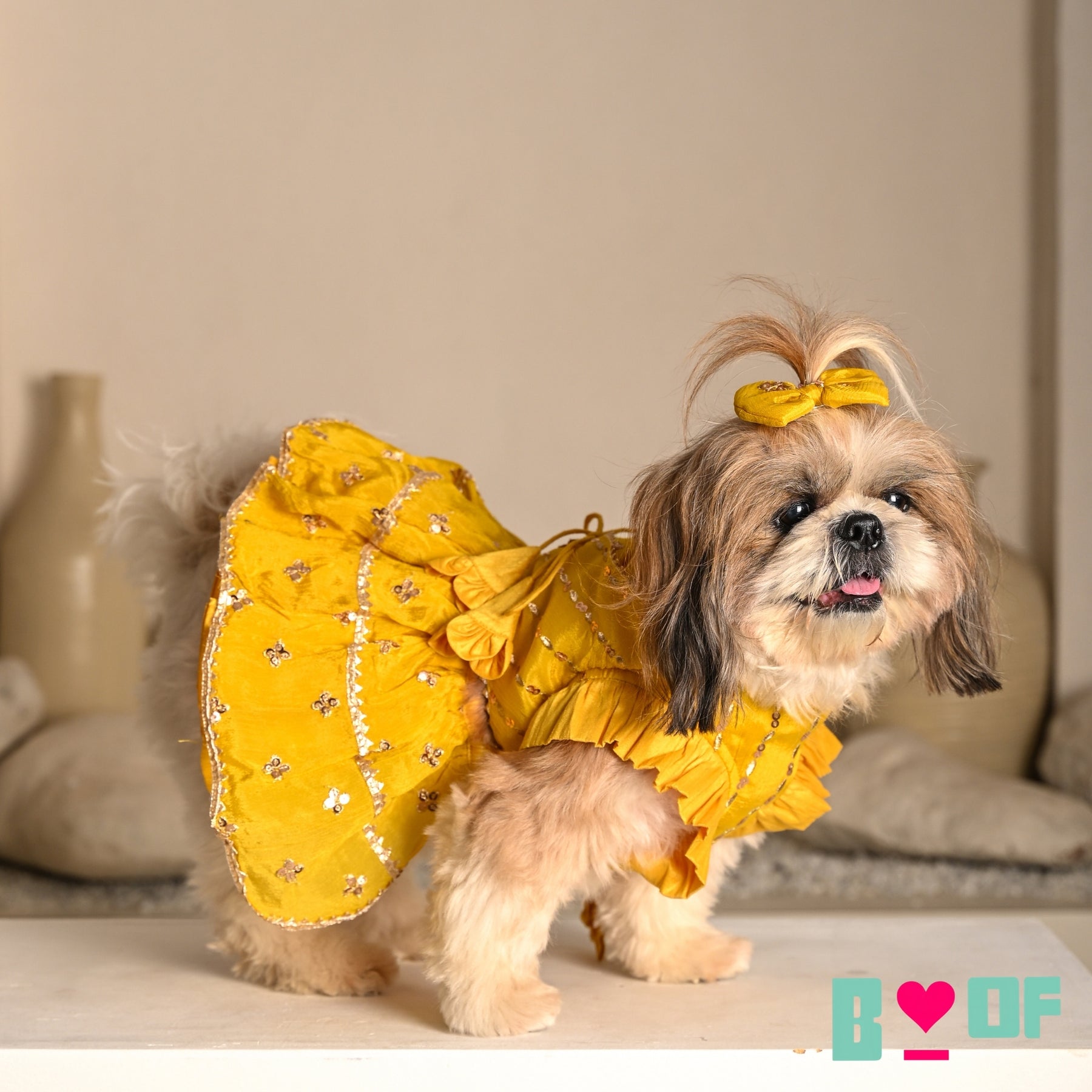 YELLOW FESTIVE ZARI BUTI LEHENGA FOR DOGS AND CATS