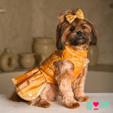 MUSTARD YELLOW FLORAL SEQUINS LEHENGA FOR DOGS AND CATS