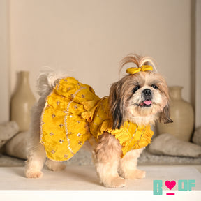 YELLOW FESTIVE ZARI BUTI LEHENGA FOR DOGS AND CATS