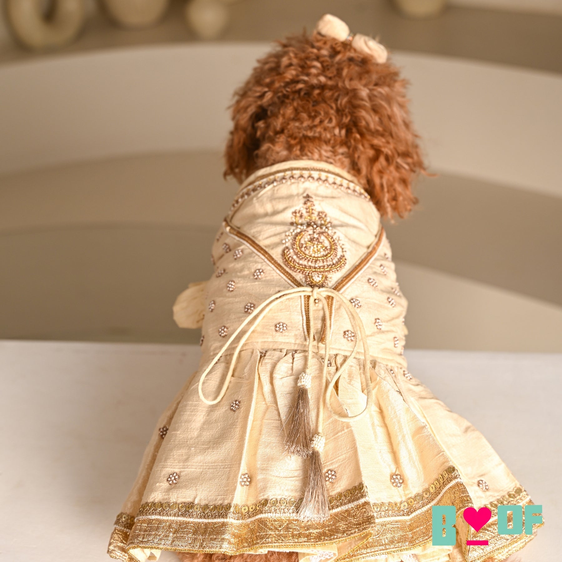 OFF-WHITE NOOR HAND EMBROIDERED ANARKALI FOR DOGS AND CATS