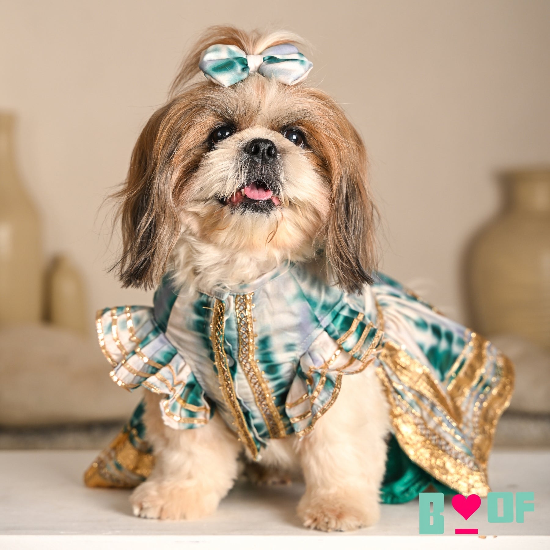 GREEN TIE & DYE BUTI EMBROIDERED ANARKALI FOR DOGS AND CATS