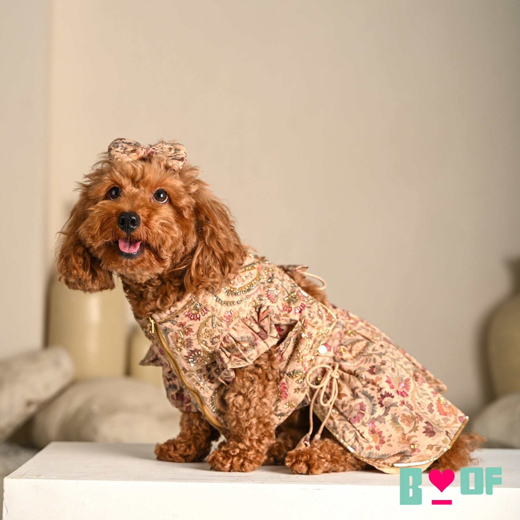 ISHQ BAHARA HAND EMBROIDERED DOG LEHENGA