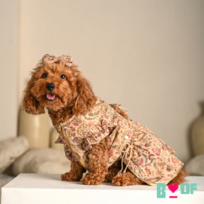 ISHQ BAHARA HAND EMBROIDERED DOG LEHENGA