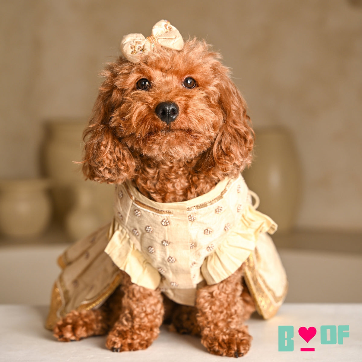 OFF-WHITE NOOR HAND EMBROIDERED ANARKALI FOR DOGS AND CATS