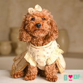 OFF-WHITE NOOR HAND EMBROIDERED ANARKALI FOR DOGS AND CATS