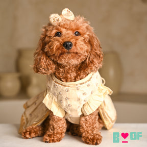 OFF-WHITE NOOR HAND EMBROIDERED ANARKALI FOR DOGS AND CATS