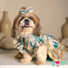 GREEN TIE & DYE BUTI EMBROIDERED ANARKALI FOR DOGS AND CATS