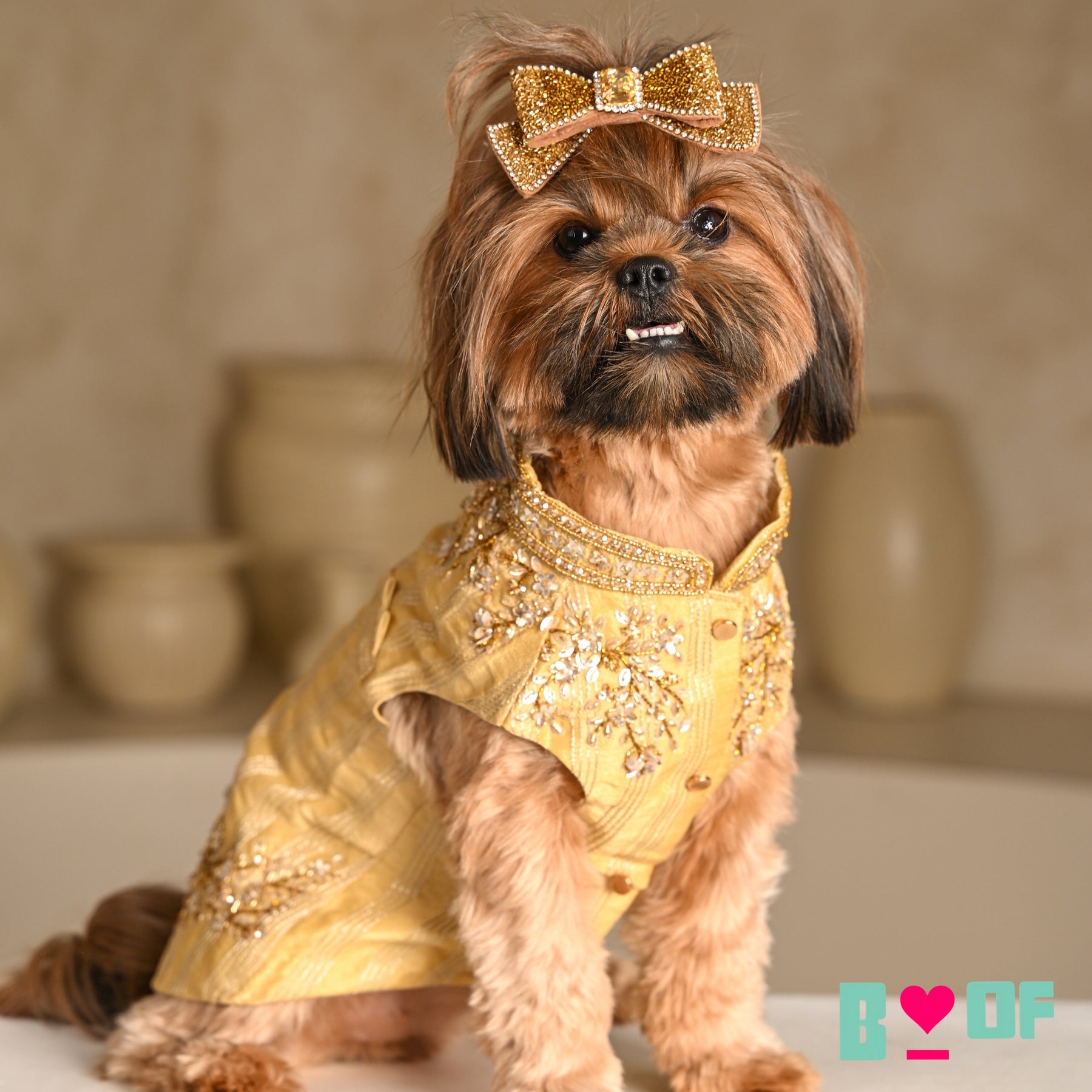 GOLDEN HOUR HAND EMBROIDERED SHERWANI FOR DOGS AND CATS