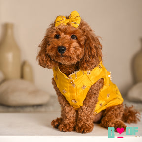 YELLOW FESTIVE ZARI BUTI SHERWANI FOR DOGS AND CATS