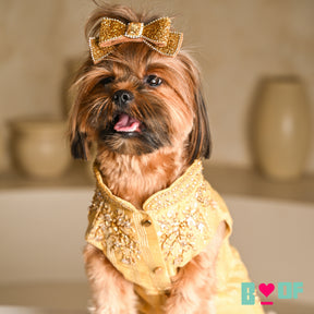 GOLDEN HOUR HAND EMBROIDERED SHERWANI FOR DOGS AND CATS