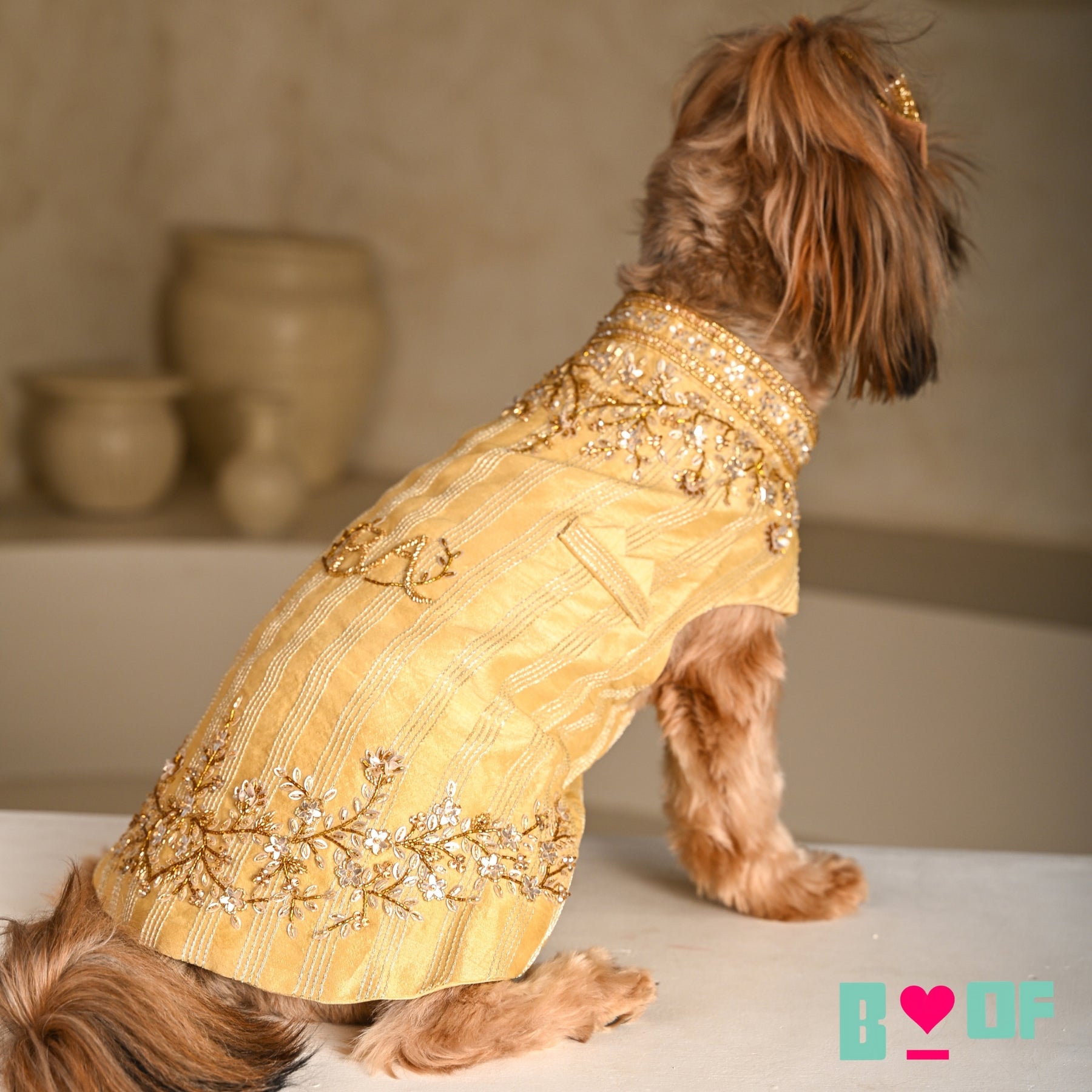 GOLDEN HOUR HAND EMBROIDERED SHERWANI FOR DOGS AND CATS