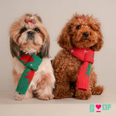 CHRISTMAS WINTER DOG SCARF