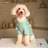 TEAL BLUE FLOWER EMBROIDERED DOG KURTA