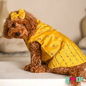 YELLOW FESTIVE ZARI BUTI SHERWANI FOR DOGS AND CATS