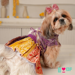 COLOUR BLOCK BROCADE LEHENGA + YELLOW PAW-SOME RAKHI FOR DOGS AND CATS