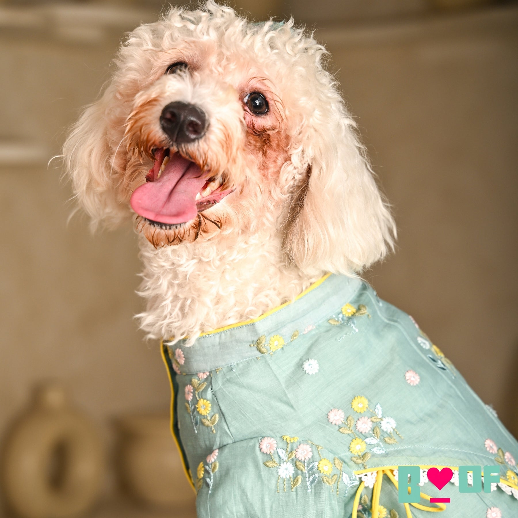 TEAL BLUE FLOWER EMBROIDERED DOG KURTA