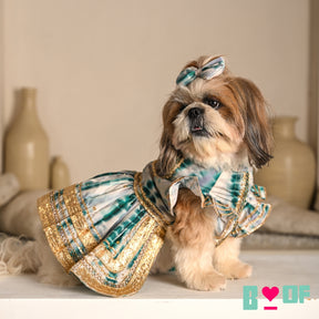 GREEN TIE & DYE BUTI EMBROIDERED ANARKALI FOR DOGS AND CATS