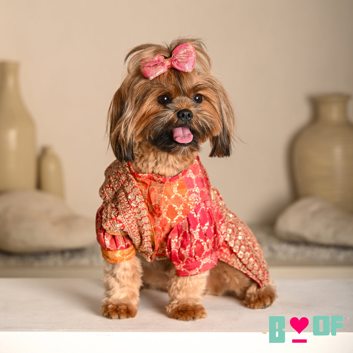 REDDISH GOLDEN BANARASI SAREE FOR DOGS AND CATS