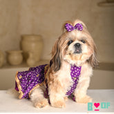 PURPLE BANDHANI PRINT HALTER NECK LEHENGA FOR DOGS AND CATS