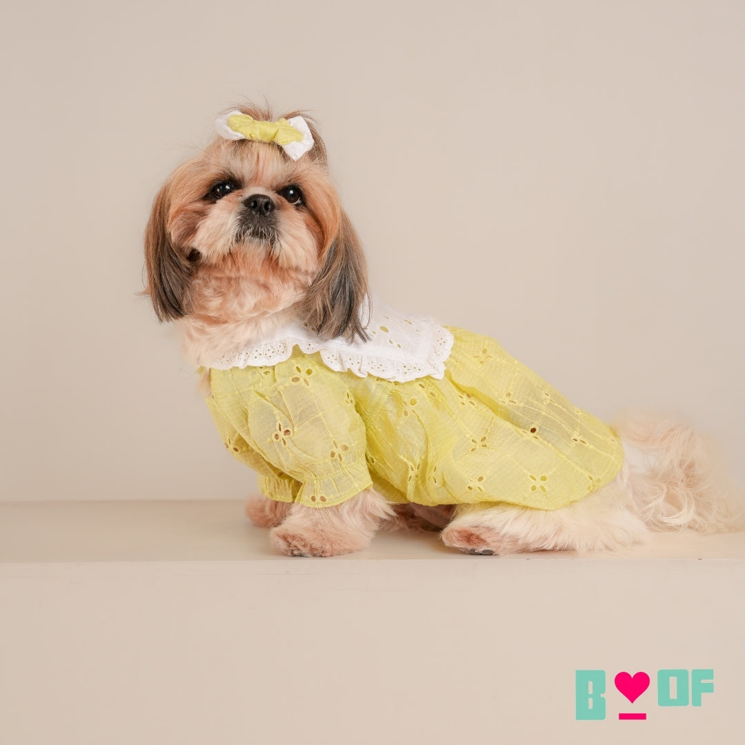 GREEN BIG COLLAR BUBBLE DOG DRESS