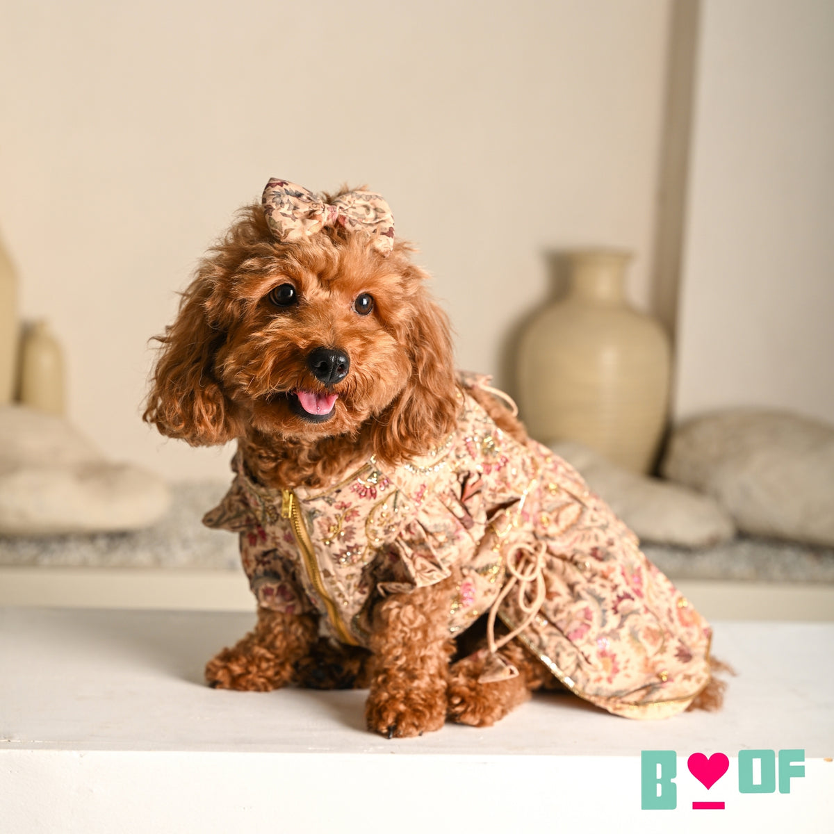 ISHQ BAHARA HAND EMBROIDERED DOG LEHENGA