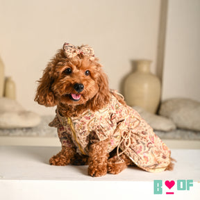 ISHQ BAHARA HAND EMBROIDERED DOG LEHENGA