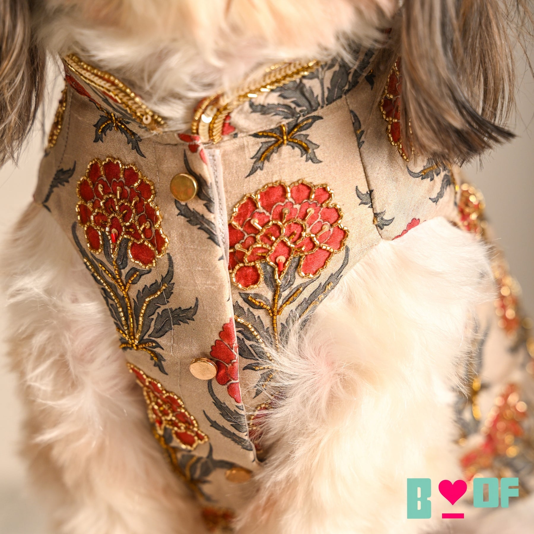 RED PANKHUDI HAND EMBROIDERED SHERWANI FOR DOGS AND CATS