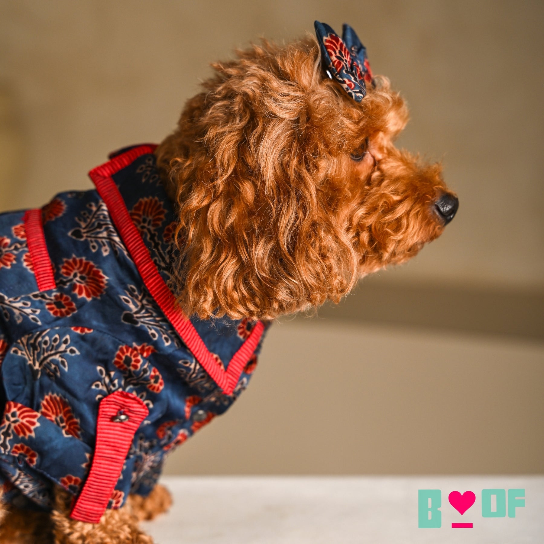 NAVY BLUE AJRAKH MODAL SILK KURTA FOR DOGS AND CATS