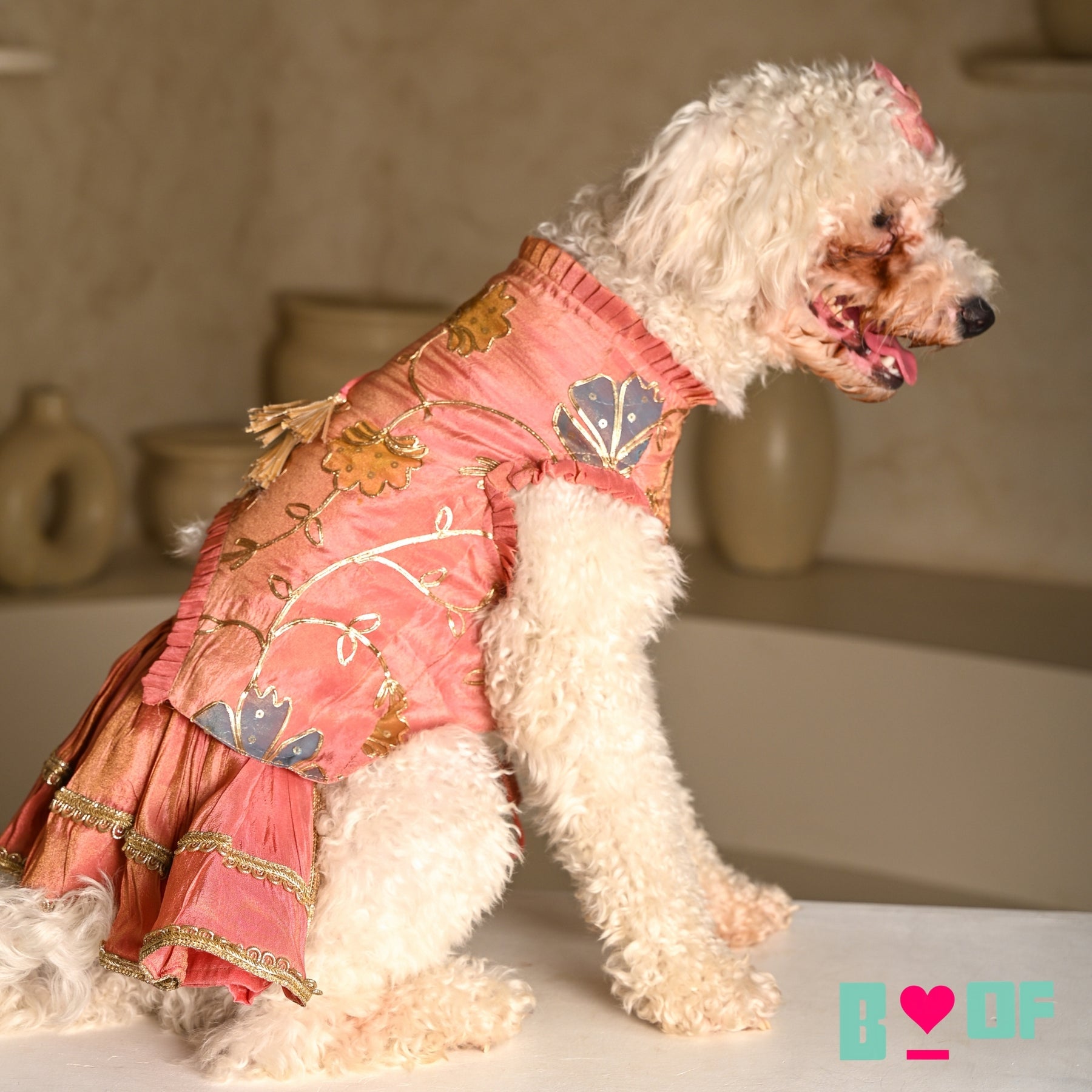CORAL GOTA PHOOL ASYMMETRICAL LEHENGA FOR DOGS AND CATS