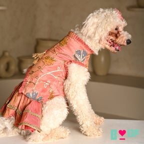 CORAL GOTA PHOOL ASYMMETRICAL LEHENGA FOR DOGS AND CATS