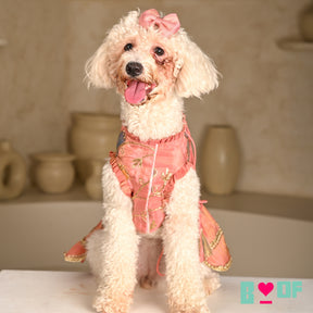 CORAL GOTA PHOOL ASYMMETRICAL LEHENGA FOR DOGS AND CATS