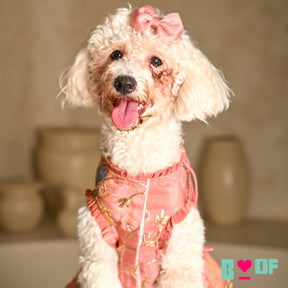 CORAL GOTA PHOOL ASYMMETRICAL LEHENGA FOR DOGS AND CATS