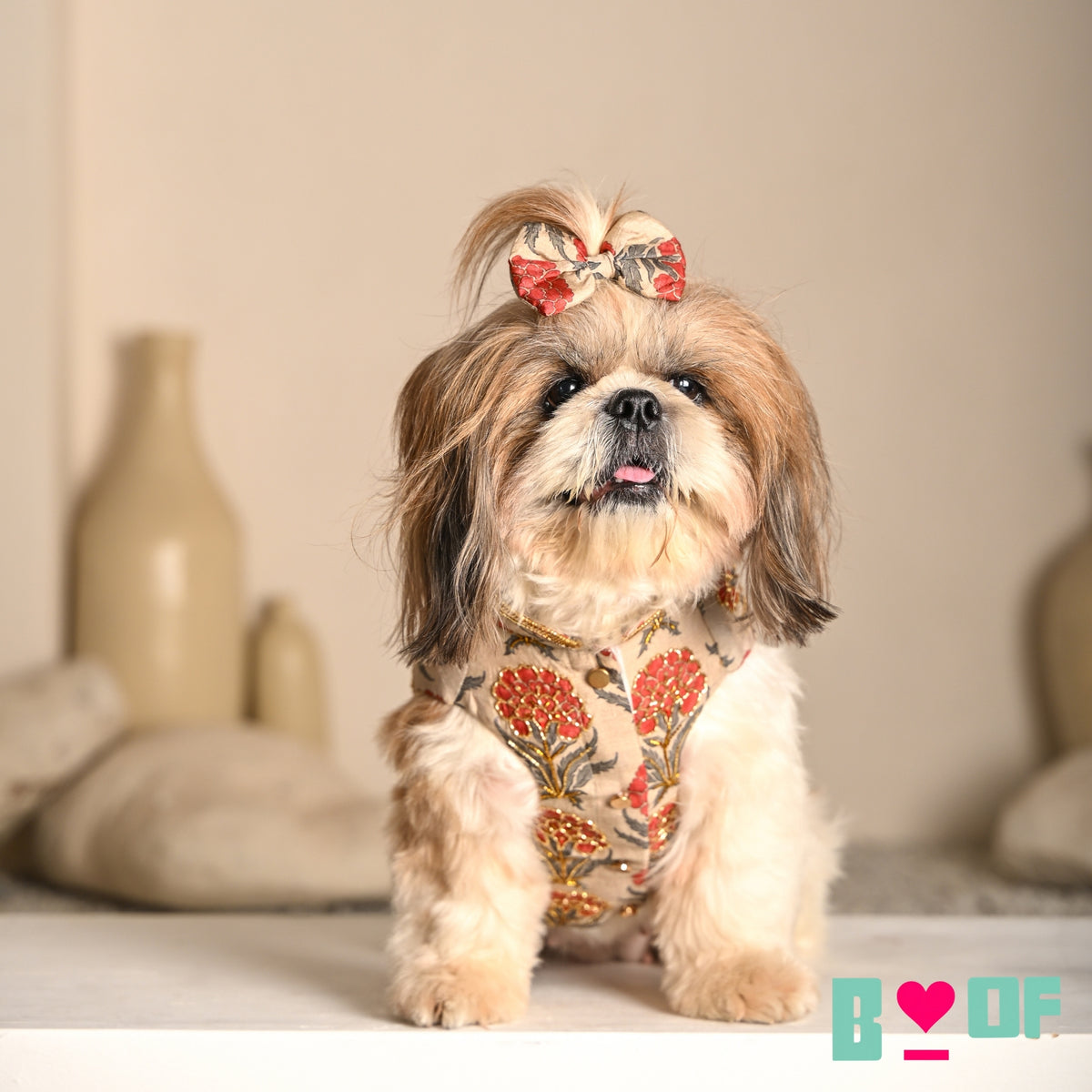 PANKHUDI HAND EMBROIDERED SHERWANI FOR DOGS AND CATS