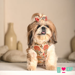 RED PANKHUDI HAND EMBROIDERED SHERWANI FOR DOGS AND CATS