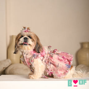 GULNOOR PRINTED HAND EMBROIDERED LEHENGA FOR DOGS AND CATS