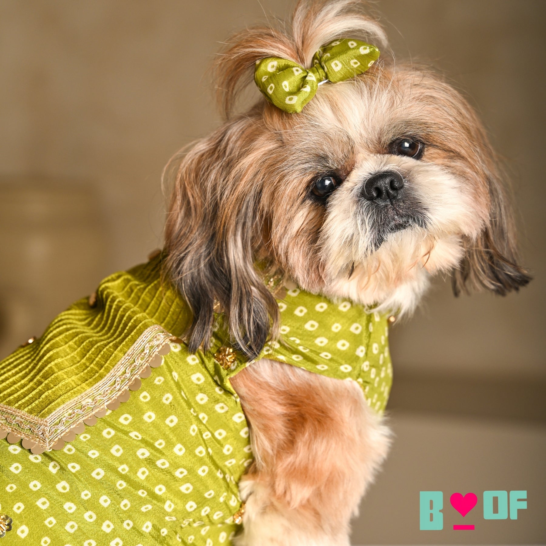 MEHENDI GREEN BANDHANI SHERWANI FOR DOGS AND CATS