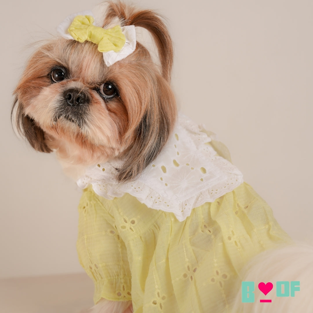 GREEN BIG COLLAR BUBBLE DOG DRESS