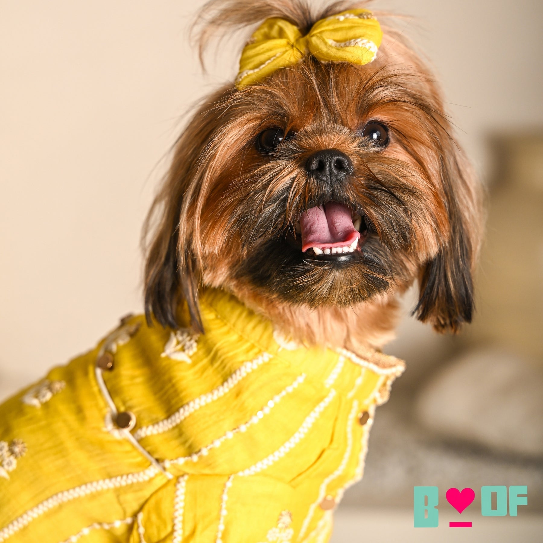 BRIGHT YELLOW CHIKANKARI GOTA PATTI KURTA FOR DOGS AND CATS