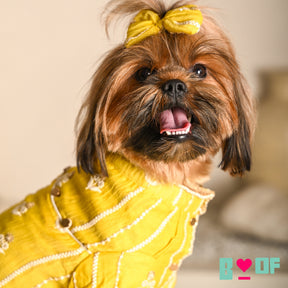 BRIGHT YELLOW CHIKANKARI GOTA PATTI KURTA FOR DOGS AND CATS