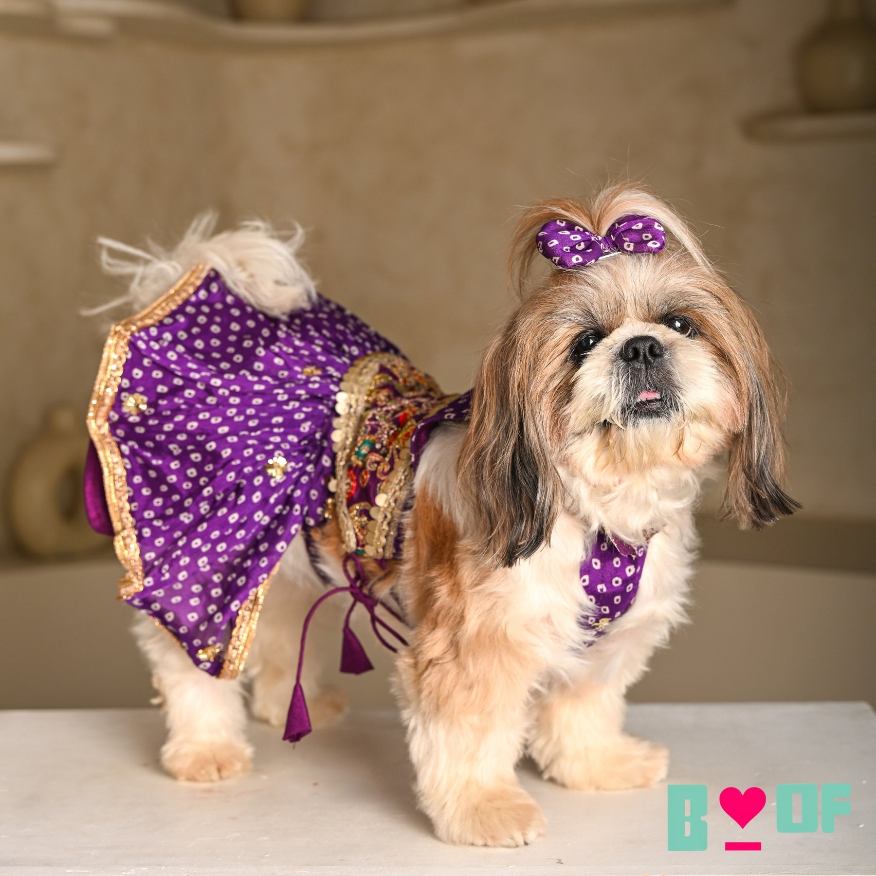 PURPLE BANDHANI PRINT HALTER NECK LEHENGA FOR DOGS AND CATS