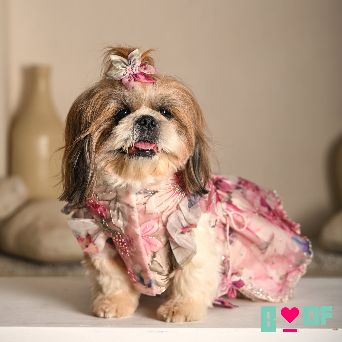 GULNOOR PRINTED HAND EMBROIDERED LEHENGA FOR DOGS AND CATS