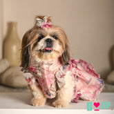 GULNOOR PRINTED HAND EMBROIDERED LEHENGA FOR DOGS AND CATS