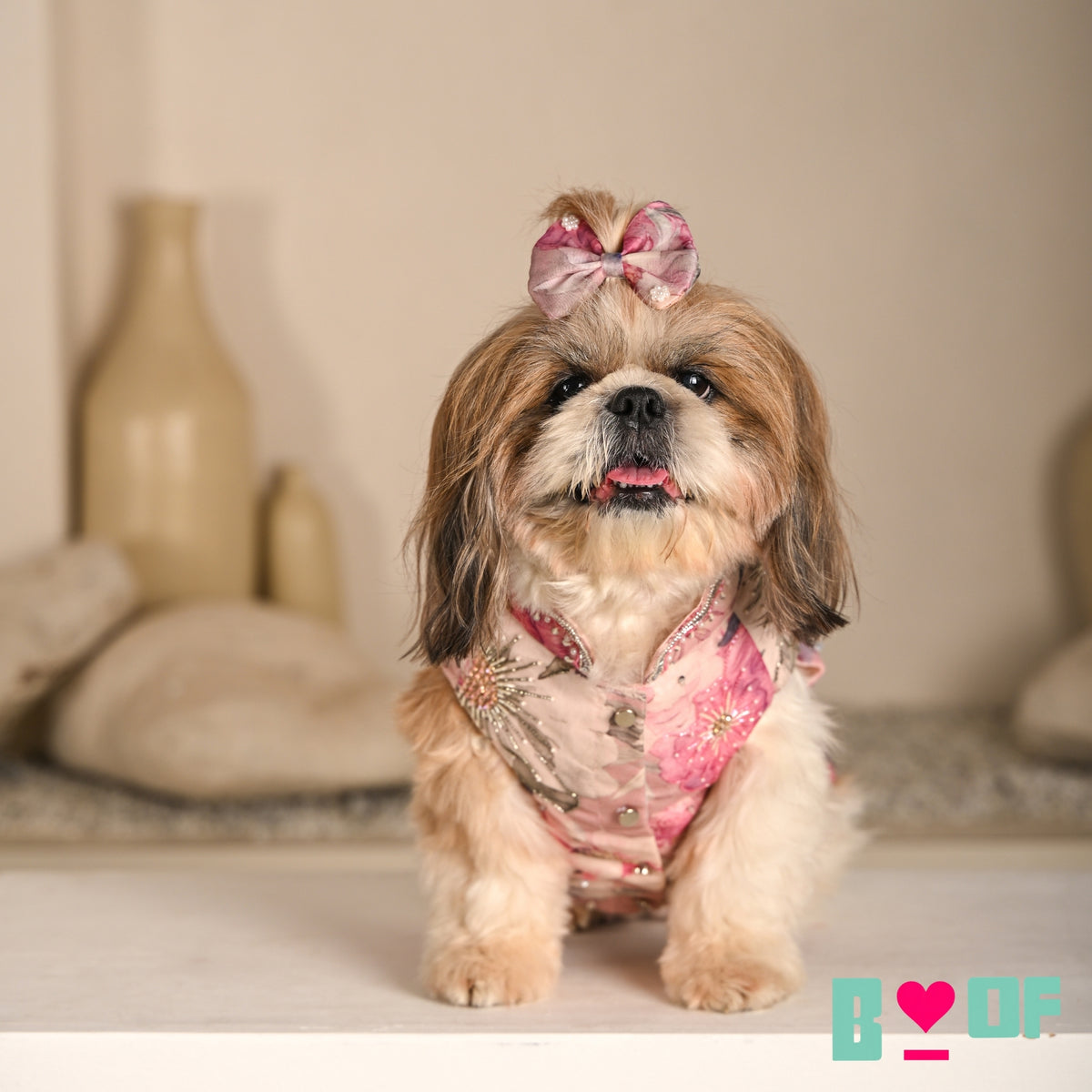 GULNOOR PRINTED HAND EMBROIDERED LEHENGA FOR DOGS AND CATS