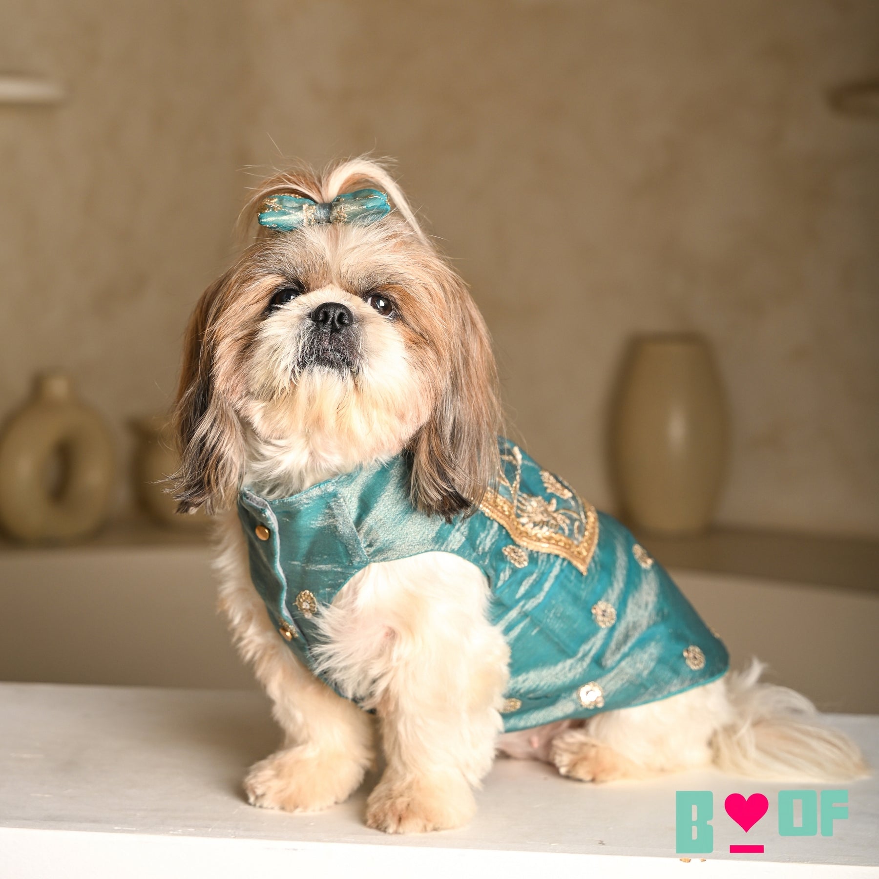 TEAL BLUE TISSUE FLORAL SEQUINS WAISTCOAT FOR DOGS AND CATS